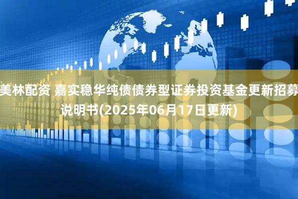 美林配资 嘉实稳华纯债债券型证券投资基金更新招募说明书(2025年06月17日更新)
