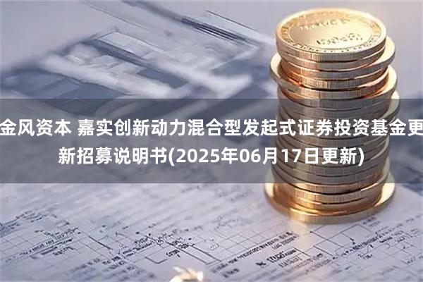 金风资本 嘉实创新动力混合型发起式证券投资基金更新招募说明书(2025年06月17日更新)