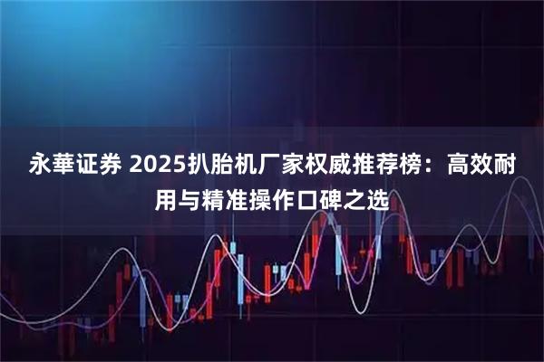 永華证券 2025扒胎机厂家权威推荐榜：高效耐用与精准操作口碑之选