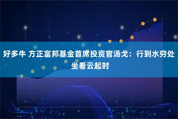 好多牛 方正富邦基金首席投资官汤戈：行到水穷处 坐看云起时