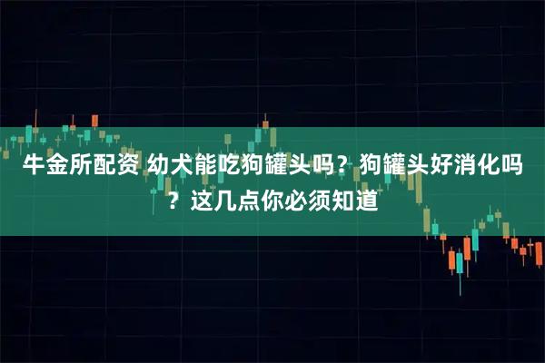 牛金所配资 幼犬能吃狗罐头吗？狗罐头好消化吗？这几点你必须知道